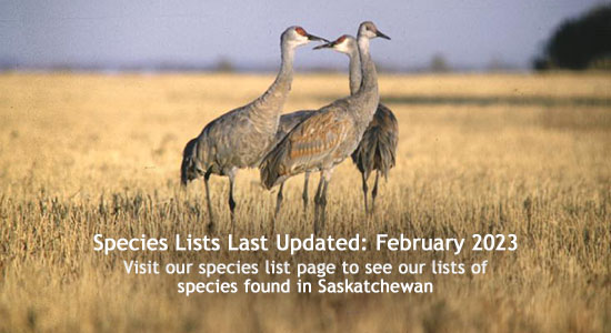 View Species Lists